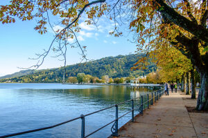 On a sunny fall day on the shores of Lake Constance. Bregenz, Vorarlberg, Austria.