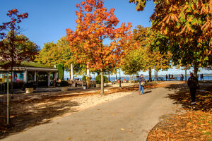 On a sunny fall day on the shores of Lake Constance. Bregenz, Vorarlberg, Austria.