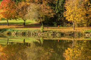 A woman walks under autumn-colored trees by a pond, Baden-Württemberg, Germany