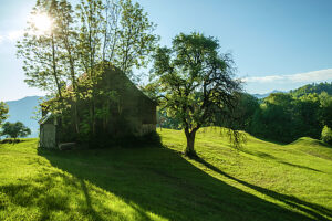 Idyll in the hinterland near Buchs, St. Gallen, Switzerland Idyll in the hinterland near Buchs, St. Gallen, Switzerland