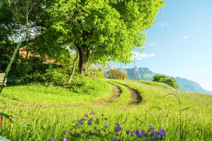 Idyllic view of the mountains in the Swiss hinterland. Buchs, St. Gallen, Switzerland Idyllic view of the mountains in the Swiss hinterland. Buchs, St. Gallen, Switzerland