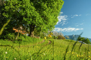 Idyllic view of the mountains in the Swiss hinterland. Buchs, St. Gallen, Switzerland Idyllic view of the mountains in the Swiss hinterland. Buchs, St. Gallen, Switzerland