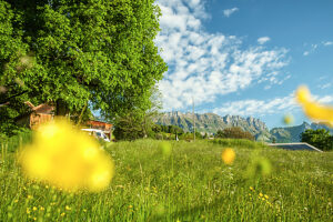 Idyllic view of the mountains in the Swiss hinterland. Buchs, St. Gallen, Switzerland Idyllic view of the mountains in the Swiss hinterland. Buchs, St. Gallen, Switzerland