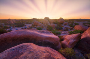 USA, United States of America, california, palm Springs, Joshua Tree National Park, jumbo rocks campground, white King campground, USA, United States of America, california, palm Springs, Joshua Tree National Park, jumbo rocks campground, white King campground,