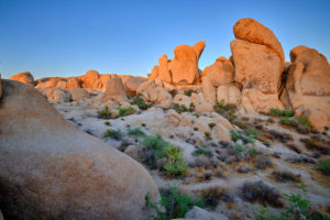 USA, United States of America, california, palm Springs, Joshua Tree National Park, jumbo rocks campground, white King campground, USA, United States of America, california, palm Springs, Joshua Tree National Park, jumbo rocks campground, white King campground,