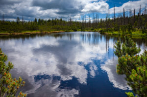 Europe, Germany, Bavaria, Bavarian Forest, National Park, Latschensee Lake, Reflection of sky and trees, Europe, Germany, Bavaria, Bavarian Forest, National Park, Latschensee Lake, Reflection of sky and trees,