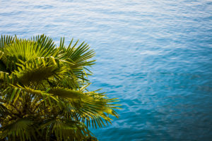 Europe, Italy, Lago di Garda, Limone sul Garda, Europe, Italy, Lago di Garda, Limone sul Garda,