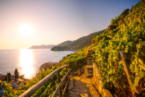 Europe, Italy, Cinque Terre, Manarola, Europe, Italy, Cinque Terre, Manarola,