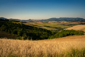 Europe, Italy, Tuscany, Siena Province, San Gimignano, Strada Provinciale 4 Volterrana, Tuscany Landscape, Europe, Italy, Tuscany, Siena Province, San Gimignano, Strada Provinciale 4 Volterrana, Tuscany Landscape,