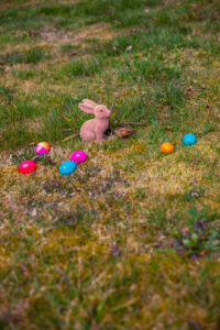 Germany, Bavaria, Easter, Garden, colorful Eggs and rabbit on gras at garden, Germany, Bavaria, Easter, Garden, colorful Eggs and rabbit on gras at garden,
