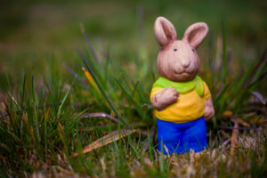 Germany, Bavaria, Easter, Garden, colorful rabbit on gras at garden, Germany, Bavaria, Easter, Garden, colorful rabbit on gras at garden,