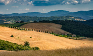 Europe, Italy, Strada Provinciale 27, Casole d'Elsa, Tuscany, Europe, Italy, Strada Provinciale 27, Casole d'Elsa, Tuscany,