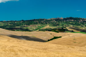 Europe, Italy, grain fields near Volterra, Tuscany, Province Pisa, Europe, Italy, grain fields near Volterra, Tuscany, Province Pisa,