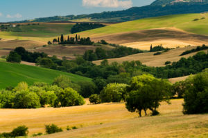 Europe, Italy, San Quirico, Agriturismo Poggio Covili, Tuscany, Tuscan Landscape, Castiglione d'Orcia, Province of Siena, Europe, Italy, San Quirico, Agriturismo Poggio Covili, Tuscany, Tuscan Landscape, Castiglione d'Orcia, Province of Siena,