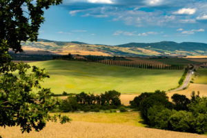 Europe, Italy, San Quirico, Agriturismo Poggio Covili, Tuscany, Tuscan Landscape, Castiglione d'Orcia, Province of Siena, Europe, Italy, San Quirico, Agriturismo Poggio Covili, Tuscany, Tuscan Landscape, Castiglione d'Orcia, Province of Siena,