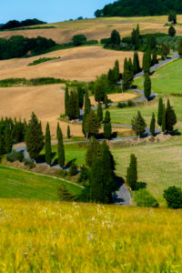 Europe, Italy,Pienza, Monticchiello, Tuscany, Tuscan Landscape, Cipressi di Monticchiello, Province of Siena, Europe, Italy,Pienza, Monticchiello, Tuscany, Tuscan Landscape, Cipressi di Monticchiello, Province of Siena,