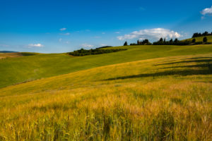 Europe, Italy,Pienza, Monticchiello, Tuscany, Tuscan Landscape, Cipressi di Monticchiello, Province of Siena, Europe, Italy,Pienza, Monticchiello, Tuscany, Tuscan Landscape, Cipressi di Monticchiello, Province of Siena,