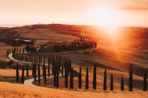 Europe, Italy, Agriturismo Baccoleno, 53041 Asciano SI, Tuscany, Tuscan Landscape, Province of Siena, Europe, Italy, Agriturismo Baccoleno, 53041 Asciano SI, Tuscany, Tuscan Landscape, Province of Siena,