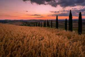 Europe, Italy, Agriturismo Baccoleno, 53041 Asciano SI, Tuscany, Tuscan Landscape, Province of Siena, Europe, Italy, Agriturismo Baccoleno, 53041 Asciano SI, Tuscany, Tuscan Landscape, Province of Siena,