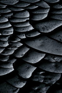 close-up of a dried-up and cracked layer of earth, close-up of a dried-up and cracked layer of earth,