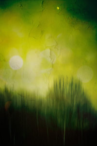 Edge of the forest, surreal blur with Lens flares, Edge of the forest, surreal blur with Lens flares,