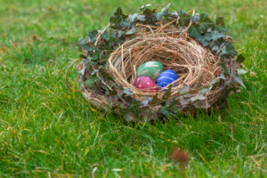 Nest of natural-colored Easter eggs in the garden Nest of natural-colored Easter eggs in the garden