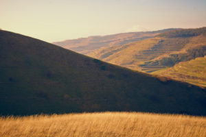 Bergrücken mit Gras im Sonnenlicht an einem Tag im Herbst Bergrücken mit Gras im Sonnenlicht an einem Tag im Herbst