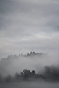 Schwarzwald, Berge, Wald, Regen, Nebel Schwarzwald, Berge, Wald, Regen, Nebel