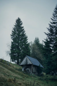 alte Mühle mit Mühlrad an einem Berghang mit Tannenbäumen im Schwarzwald, Regenwetter alte Mühle mit Mühlrad an einem Berghang mit Tannenbäumen im Schwarzwald, Regenwetter