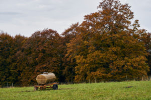 manure vehicle on a green meadow at the edge of the forest, beeches in autumn