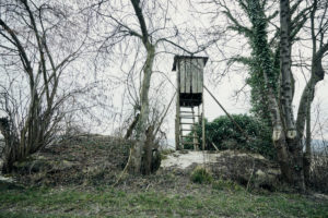 old high seat, abandoned, weathered, trees
