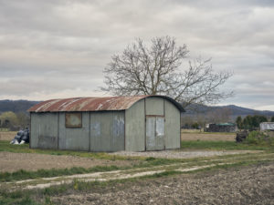 old shed made of corrugated iron on a meadow, tree, autumn