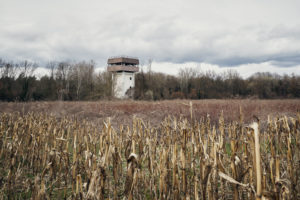 old watchtower, abandoned and weathered in a cornfield at the edge of the forest,