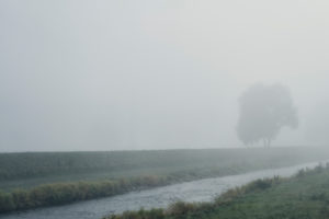 River with riverside and tree in the fog on a canal