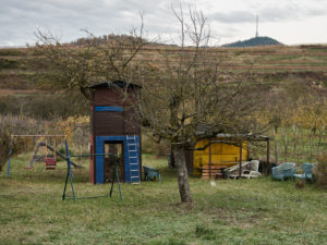Garden hut with swing in a meadow, in the background vineyards, autumn