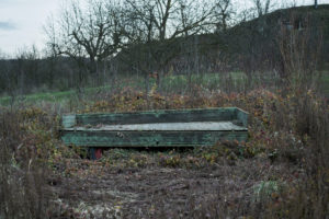 old trailer with open load bed on a orchard with old trees