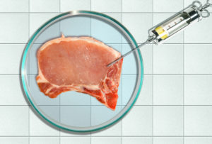 Petri dish, meat, syringe, concept Petri dish, meat, syringe, concept