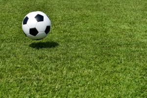 black-and-white football with turf black-and-white football with turf