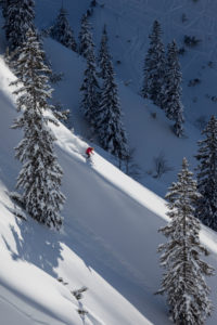 Deep snow downhill from the Rosshütte, near Seefeld, Karwendel, Tyrol, Austria