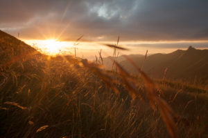 Sunrays, afterglow, mountain, landscape, France, blades of grass, Sunrays, afterglow, mountain, landscape, France, blades of grass,
