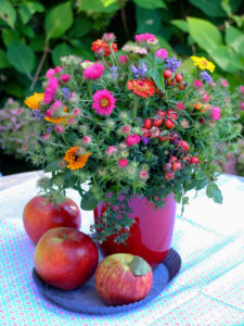 Autumnal bouquet with asters, calendula, zinnias and rose hip Autumnal bouquet with asters, calendula, zinnias and rose hip