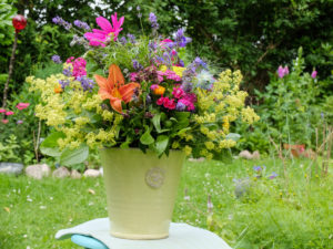 Colorful bouquet with lilies, lady's mantle, cosmea and lavender Colorful bouquet with lilies, lady's mantle, cosmea and lavender