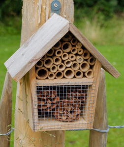 Small insect hotel made from bamboo tubes and cones, on a fence Small insect hotel made from bamboo tubes and cones, on a fence