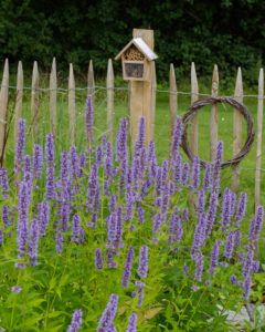 Small insect hotel made of bamboo tubes and cones, on a fence, bee pasture in front Small insect hotel made of bamboo tubes and cones, on a fence, bee pasture in front