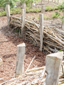 Benjes hedge, dead wood hedge made from loosely piled branches and twigs Benjes hedge, dead wood hedge made from loosely piled branches and twigs