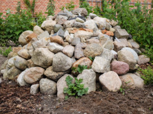 Steinhaufen im Garten als Biotop für Eidechsen Steinhaufen im Garten als Biotop für Eidechsen