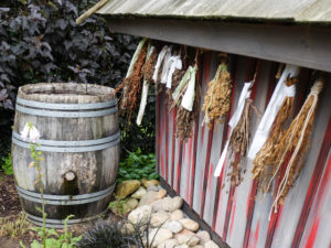 Kräuter hängen zum Trocknen am Hexenhaus im Garten Kräuter hängen zum Trocknen am Hexenhaus im Garten