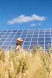 Woman in the cornfield, solar systems under a blue sky, Woman in the cornfield, solar systems under a blue sky,