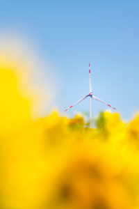 Wind turbines in the sunflower field under blue sky Wind turbines in the sunflower field under blue sky