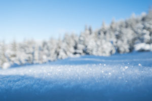 closed snow cover with ice crystals in front of snowy coniferous forest in the Vosges Mountains, France closed snow cover with ice crystals in front of snowy coniferous forest in the Vosges Mountains, France